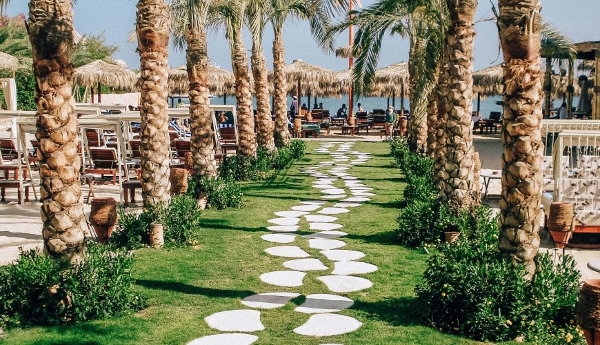 green grass field with trees and brown concrete building
